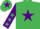 Emerald Green, Purple star, Purple sleeves, Emerald Green stars, Emerald Green cap, Purple star