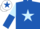 Royal Blue, Light Blue star, Light Blue and Royal Blue halved sleeves, White cap, Royal Blue star