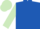 Royal Blue, Light Green sleeves and cap