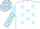 White, Light Blue stars, Light Blue sleeves, White stars and stars on cap