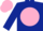 Dark Blue, Pink disc, Pink cap