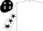 WHITE, black stars on sleeves & cap