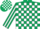 Dark Green and White check, striped sleeves