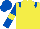 Yellow, Royal Blue epaulets, Royal Blue sleeves, Yellow armlets and star on Royal Blue cap