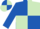 Royal blue and light green (quartered), royal blue sleeves