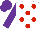 WHITE, red spots, purple sleeves & cap