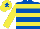 Royal Blue, Yellow hoops and sleeves, Yellow cap, Royal Blue star