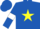 Royal Blue, Yellow star, Royal Blue sleeves, White armlets
