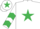 White, Emerald Green star, chevrons on sleeves, White cap, Emerald Green star