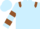 LIGHT BLUE, BROWN epaulets, hooped sleeves