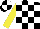 BLACK and WHITE check, YELLOW sleeves, BLACK and WHITE quartered cap