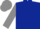 DARK BLUE, GREY sleeves and cap