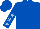 Royal blue, light blue stars on sleeves
