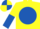 YELLOW, royal blue disc, halved sleeves, quartered cap