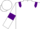 White, Purple epaulets and armlets