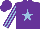 Purple, Light Blue star, Light Blue and Purple striped sleeves