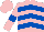 Pink, Royal Blue chevrons and armlets