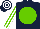 Dark Blue, Light Green disc, Light Green and White striped sleeves, hooped cap