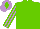 Light Green, Mauve and Light Green striped sleeves, Mauve cap, Light Green diamond