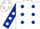 White, Dark Blue spots, Dark Blue sleeves, White spots