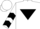 WHITE, black inverted triangle, black chevrons on sleeves, white cap