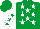 EMERALD GREEN, WHITE stars, WHITE sleeves, EMERALD GREEN stars