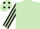 LIGHT GREEN, BLACK and LIGHT GREEN striped sleeves, LIGHT GREEN cap, BLACK spots