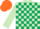 LIGHT GREEN & DARK GREEN CHECK, light green sleeves, orange cap