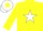 YELLOW, WHITE star, WHITE cap, YELLOW star