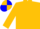 Gold, Blue and Gold quartered cap