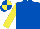 ROYAL BLUE, YELLOW sleeves, quartered cap