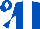 Royal Blue, White stripe, diabolo on sleeves and diamond on cap