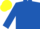 ROYAL BLUE, green emblem, yellow cap