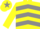 YELLOW & GREY CHEVRONS, yellow sleeves, yellow cap, grey star