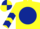 Yellow, Dark Blue disc, chevrons on sleeves, quartered cap