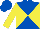 Royal Blue and Yellow diabolo, Yellow sleeves, Royal Blue cap