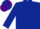 Dark Blue, Dark Blue and Purple quartered cap