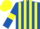 Royal Blue and Yellow stripes, Royal Blue sleeves, Yellow armlets, Yellow cap