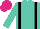 Turquoise, Black braces, Cerise cap