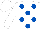 WHITE, royal blue spots