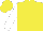 Yellow, White Sleeves