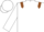White, Brown epaulets