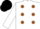White, Brown spots, White sleeves, Black cap