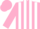 Pink and White stripes, Pink cap
