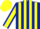 Dark Blue and Yellow stripes, Yellow sleeves, Dark Blue seams, Yellow cap