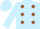 Light Blue, Brown spots, Light Blue sleeves