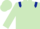 Light Green, Dark Blue epaulets