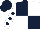 Dark Blue and White (quartered), White sleeves, Dark Blue spots