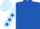 Royal Blue, Light Blue sleeves, Royal Blue stars, Light Blue cap