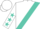 White, turquoise sash, turquoise stars on sleeves